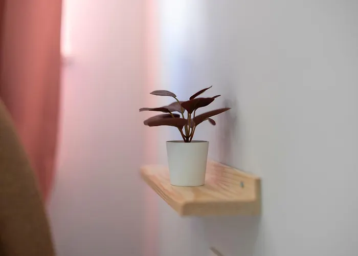 2 Bed Ethnic Vibe A Unique Close To Kaleici 公寓 安塔利亚